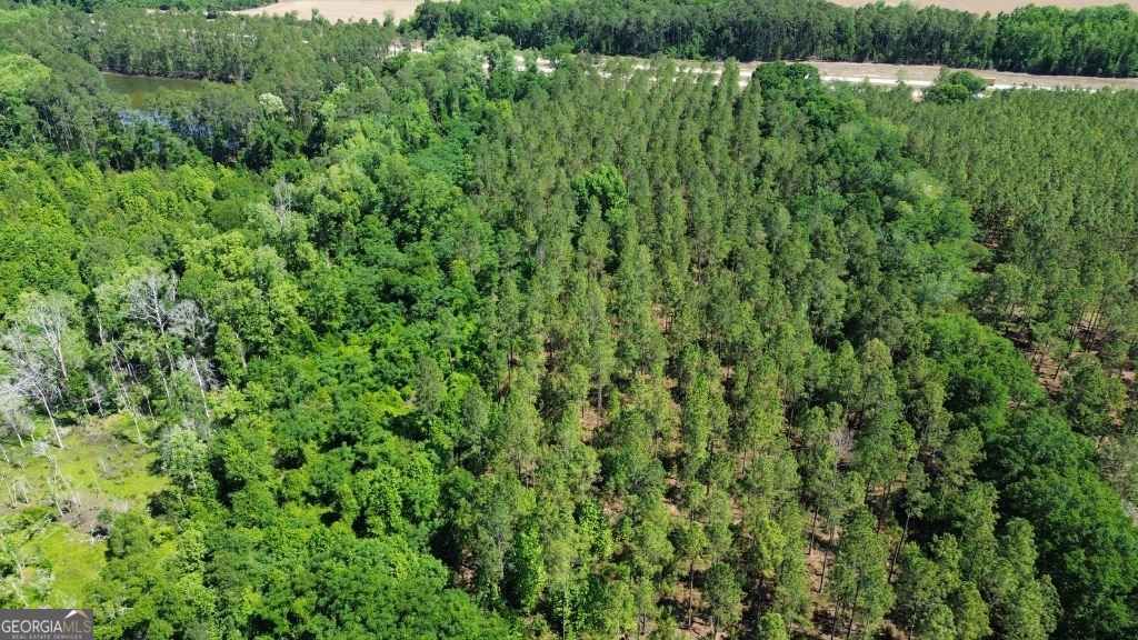 Photo of 0 Reedy Branch Road, Statesboro, GA 30458 (MLS # 10760193)