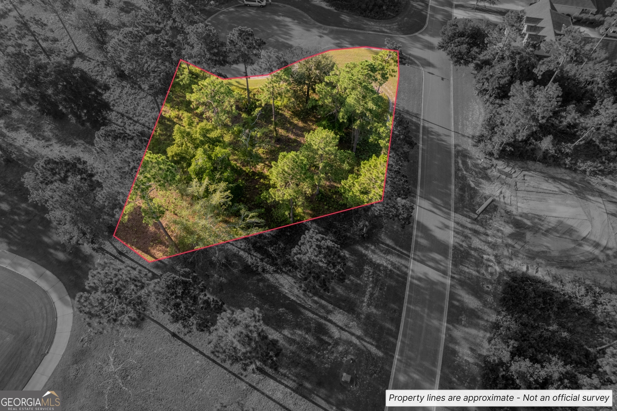LOT 31 Woodstork CT