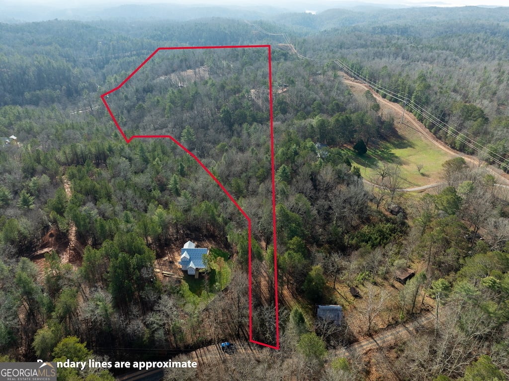 Photo of 780 Banks Road, Ellijay, GA 30540 (MLS # 10786032)