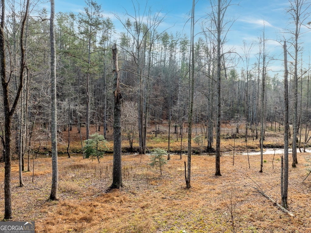 Photo of 780 Banks Road, Ellijay, GA 30540 (MLS # 10786032)