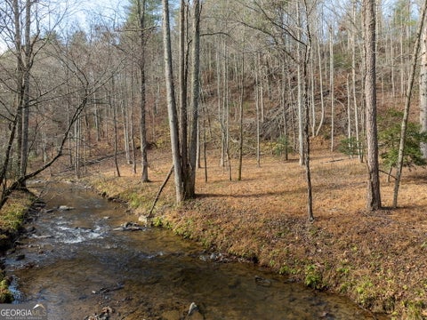 Photo of 780 Banks Road, Ellijay, GA 30540 (MLS # 10786032)