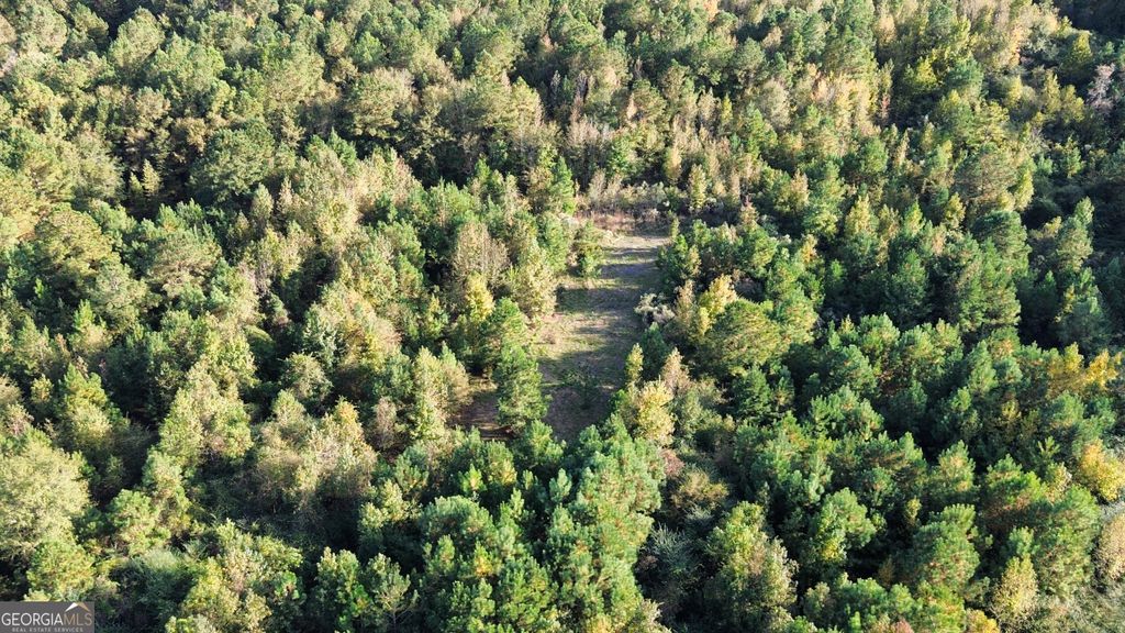 Photo of 1039 Wright Road, Dublin, GA 31021 (MLS # 10631938)