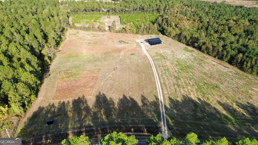 Photo of 1039 Wright Road, Dublin, GA 31021 (MLS # 10631938)