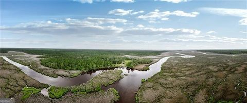 Photo of 0 Iron Safe Road, Brunswick, GA 31523 (MLS # 10581013)