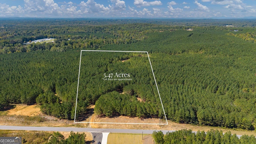 Photo of 0 Steadman Lane, Tallapoosa, GA 30176 (MLS # 10870805)