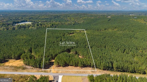 Photo of 0 Steadman Lane, Tallapoosa, GA 30176 (MLS # 10870805)