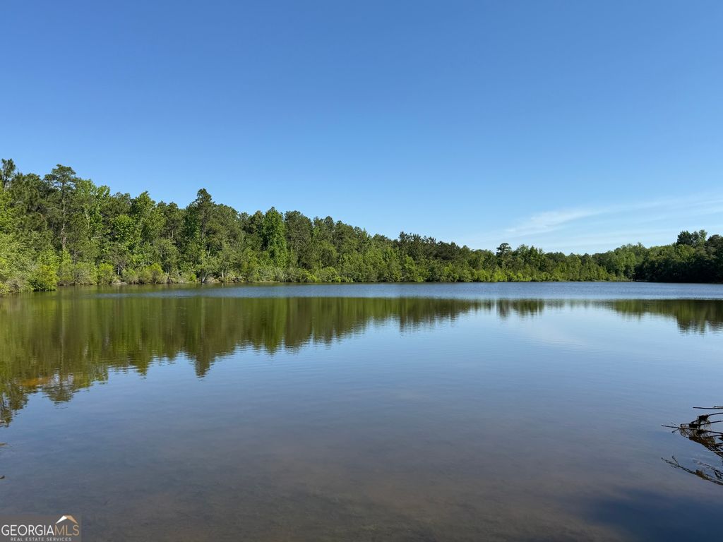 Photo of 0 Bill Glenn Road, Swainsboro, GA 30401 (MLS # 10757698)