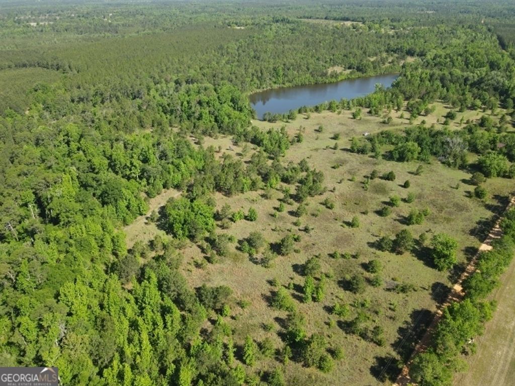 Photo of 0 Bill Glenn Road, Swainsboro, GA 30401 (MLS # 10757698)