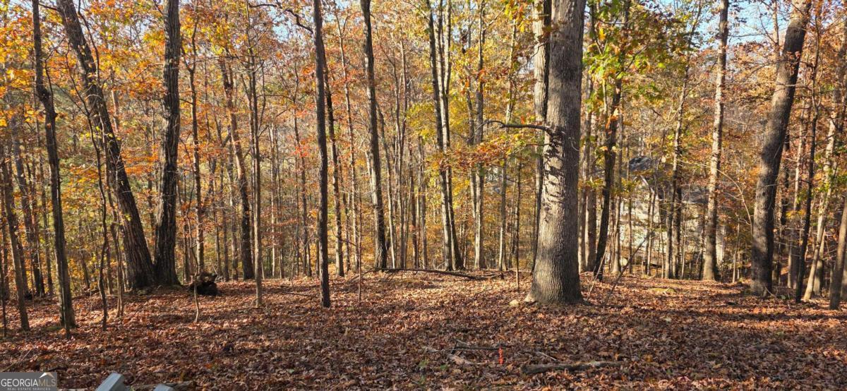 Twin Branches - Residential