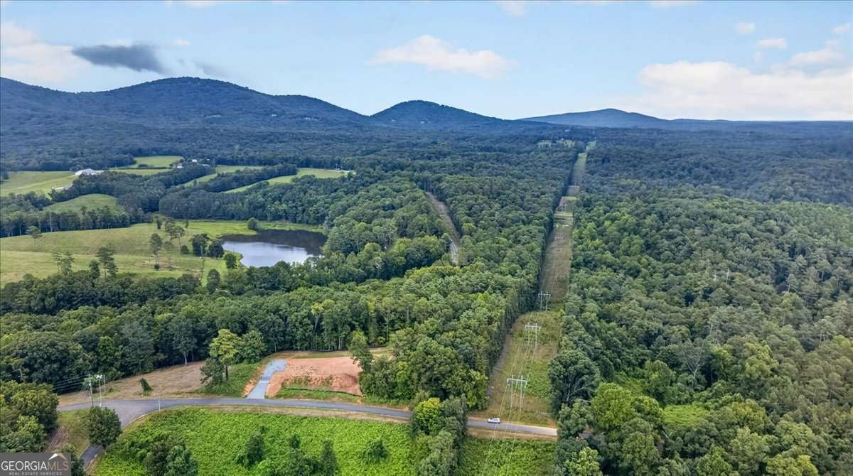 1395 Cowart Mountain RD