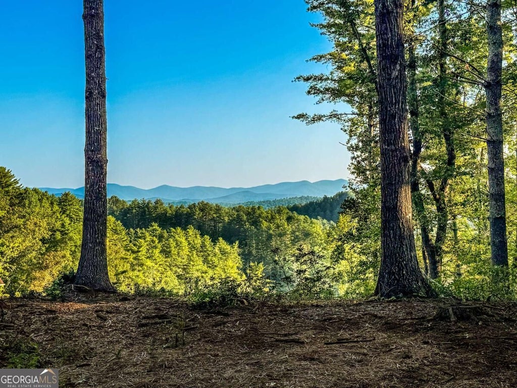 Photo of 0 River Flow Drive, Dahlonega, GA 30533 (MLS # 10840923)
