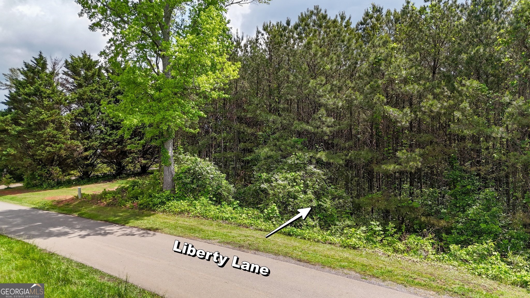 0 Liberty LN
