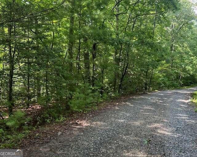 Tranquil four-acre lot located in the North Georgia Mountains near Blue Ridge, Georgia. Multiple building spots with mountain views to the rear of the property. Close to numerous indoor and outdoor activities available in the surrounding areas. Attractions including golf at the Old Toccoa Farms, nearby wineries, vineyards, as well as the largest orchard in the south, Mercier Orchards. Other nearby attractions include Blue Ridge Adventure Park and The Lilly Pad Village. For the fisherman, Rock Creek, Noontootla Creek, and Cooper Creek all contribute to Fannin County's reputation as the Trout Fishing Capital of Georgia. If relaxation and peaceful surroundings is your what you seek, this property is perfect for you!