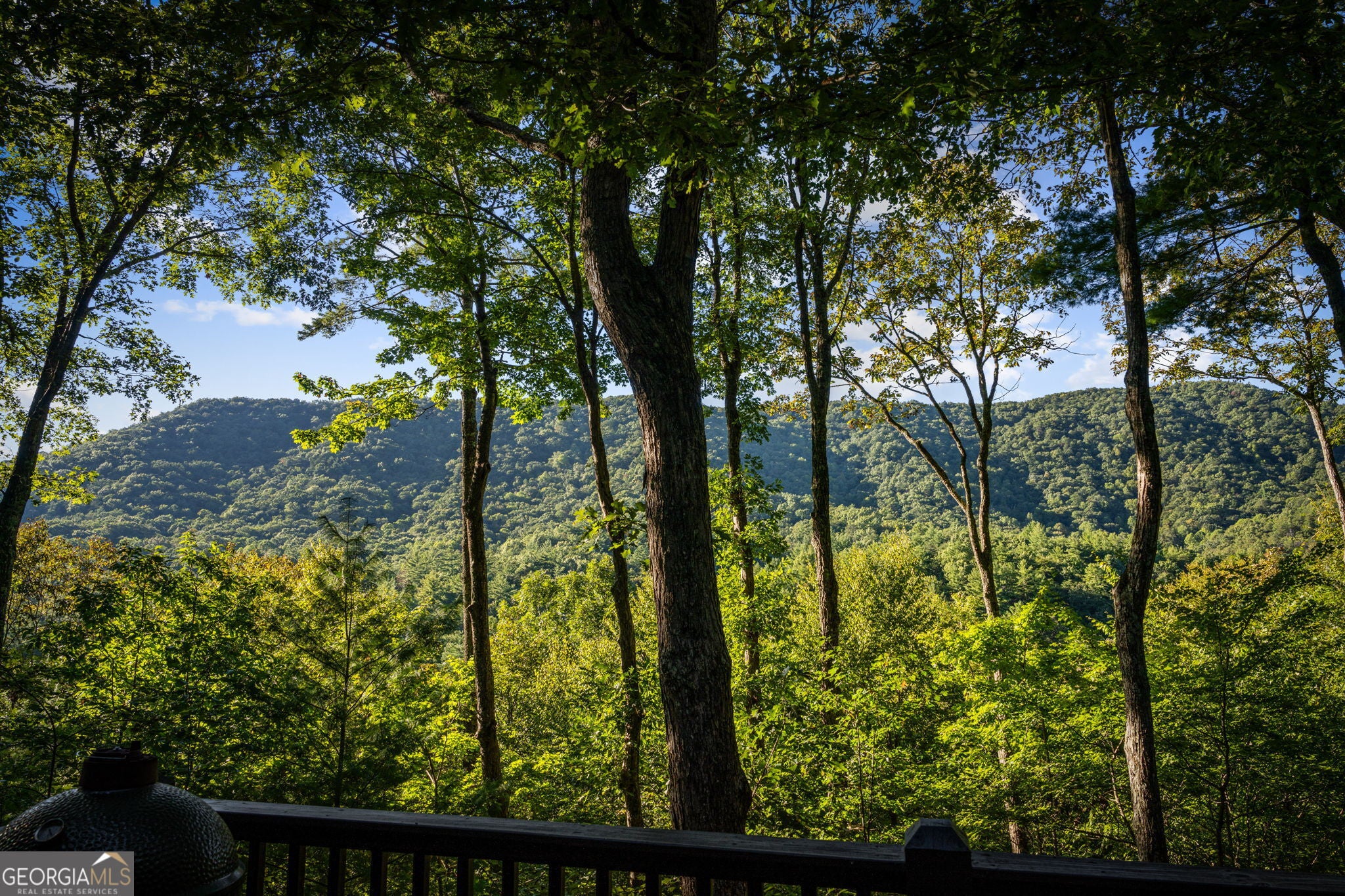 241 Wilderness WAY