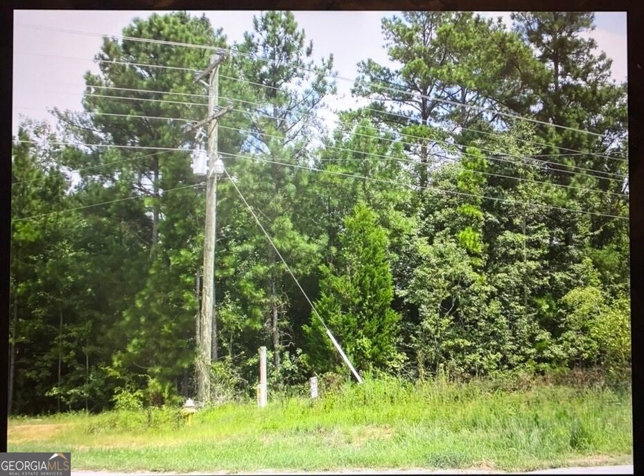 Photo of 2896 Bonner Gilbert Road, Lizella, GA 31052 (MLS # 10822989)