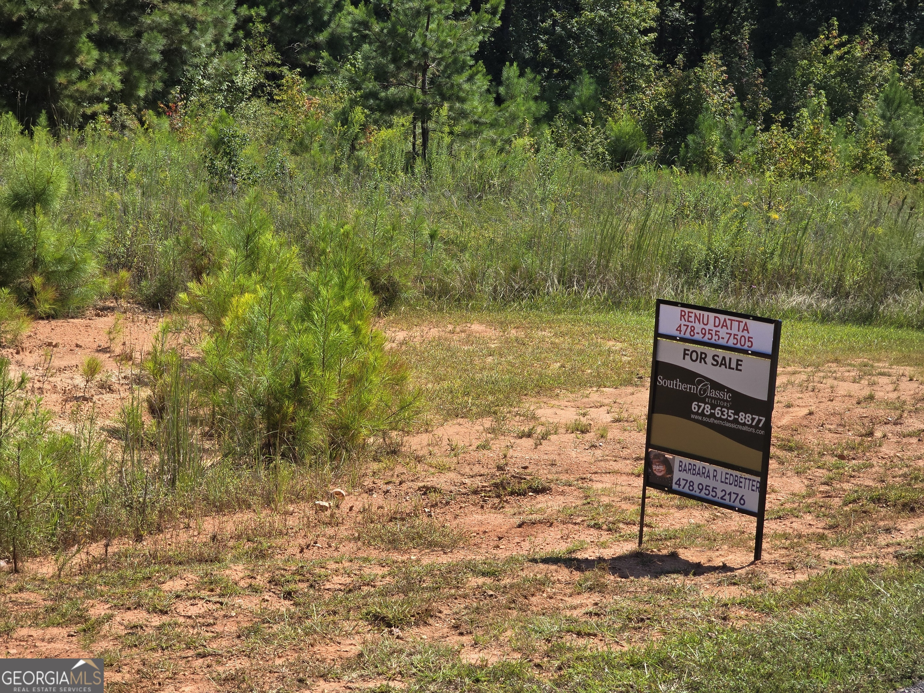 NICE BUILDING LOT LOCATED AT PENINSULA AT EAGLES POINTE. LAKE ACCESS IN S/D LEVEL WITHE SOME TREES IN BACK. GATED COMMUNITY AND LAKE LIFE ALL COVENANTS AND RESTRICTIONS CAN BE VIEW AT: http://peninsulaateaglespointe.com