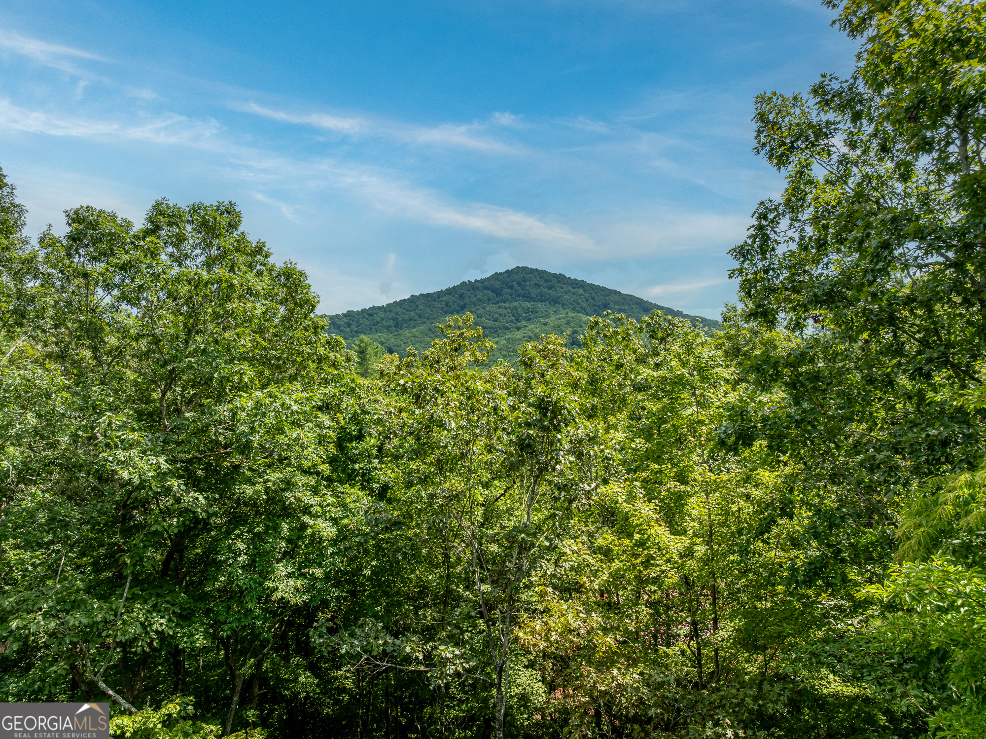 476 Prince Mountain RD