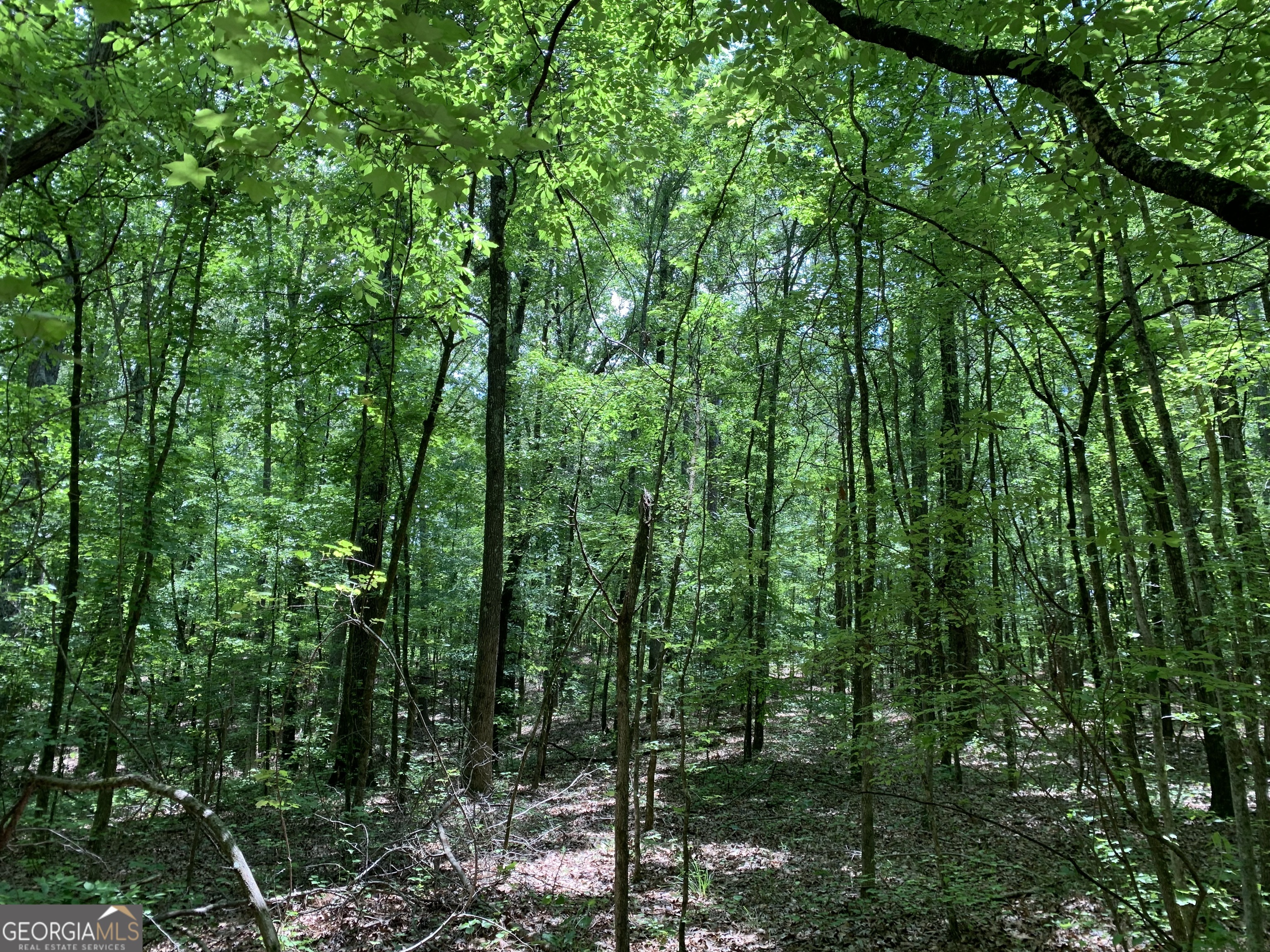 61.990 AC Mike Powers RD