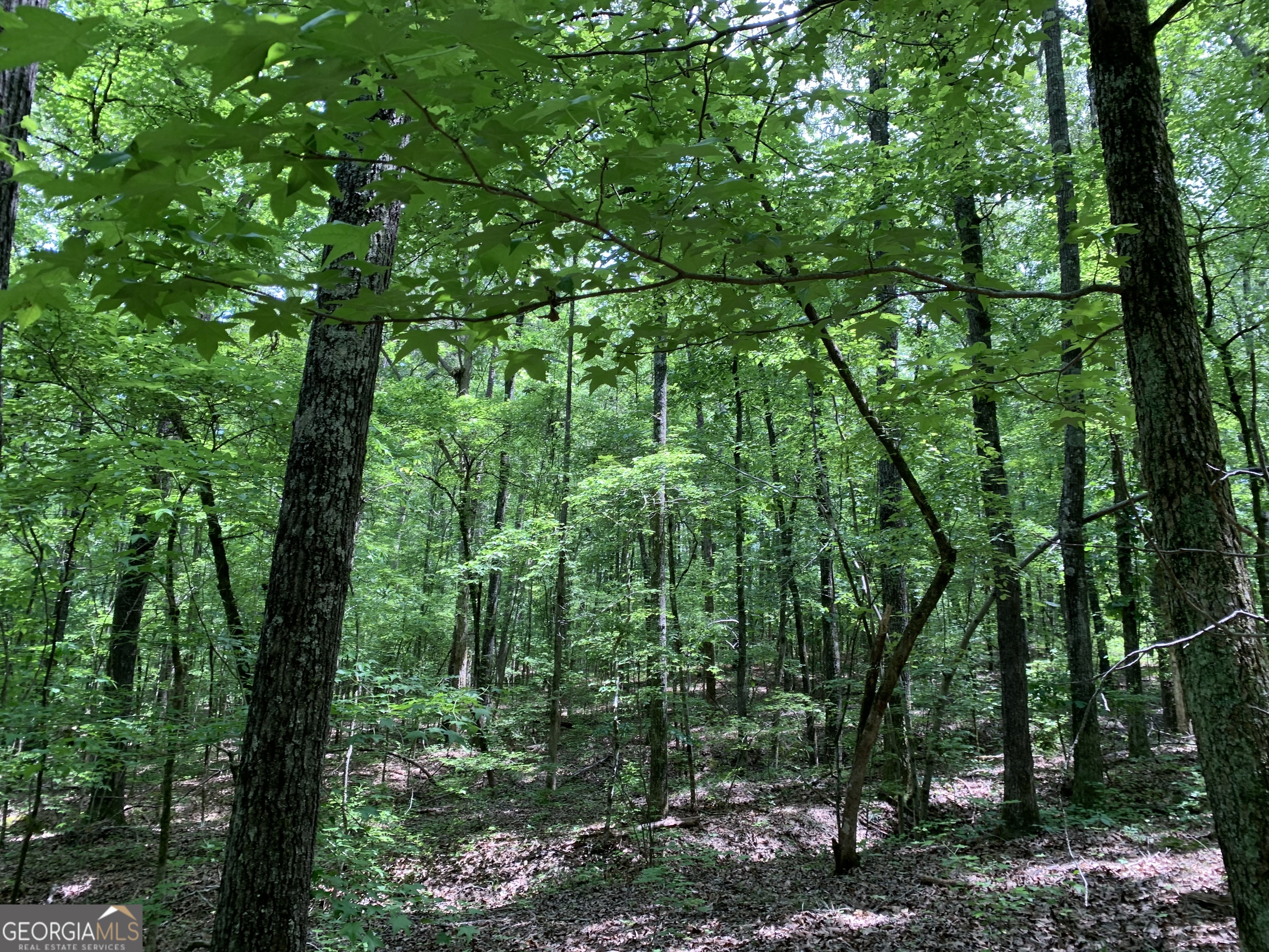 61.990 AC Mike Powers RD