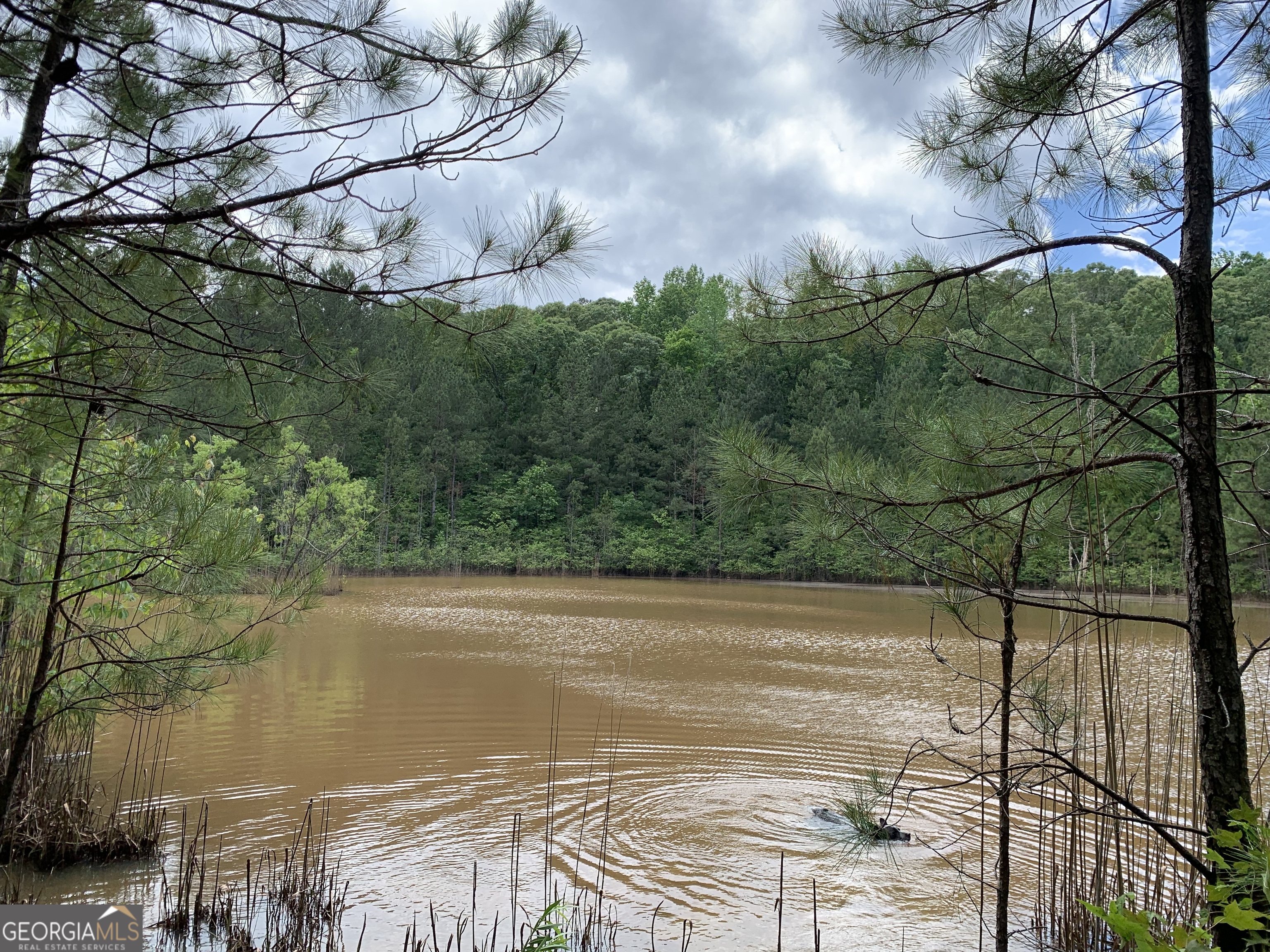61.990 AC Mike Powers RD