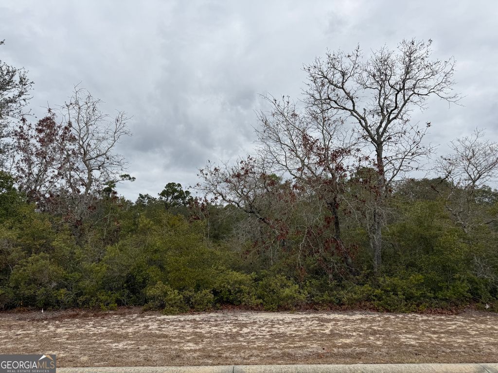 Photo of 0 Plantation Pines Drive, Blackshear, GA 31516 (MLS # 10693979)