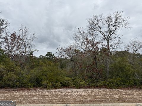 0 Plantation Pines DR Blackshear GA 31516