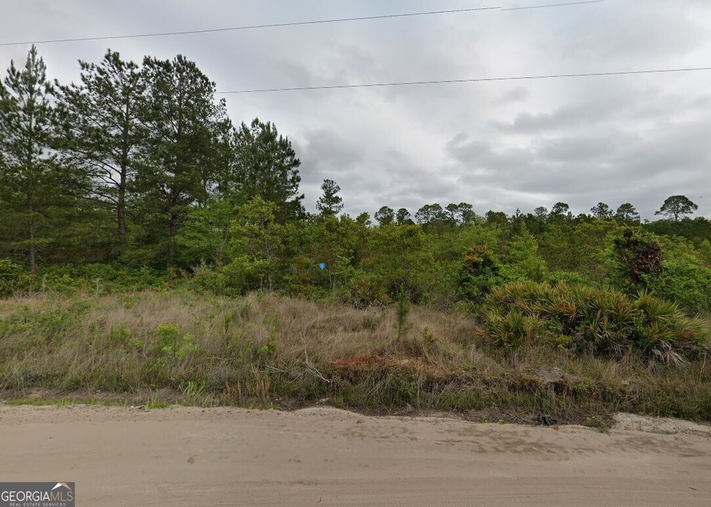 Photo of 305 Worthington Dr,, Ludowici, GA 31316 (MLS # 10689243)