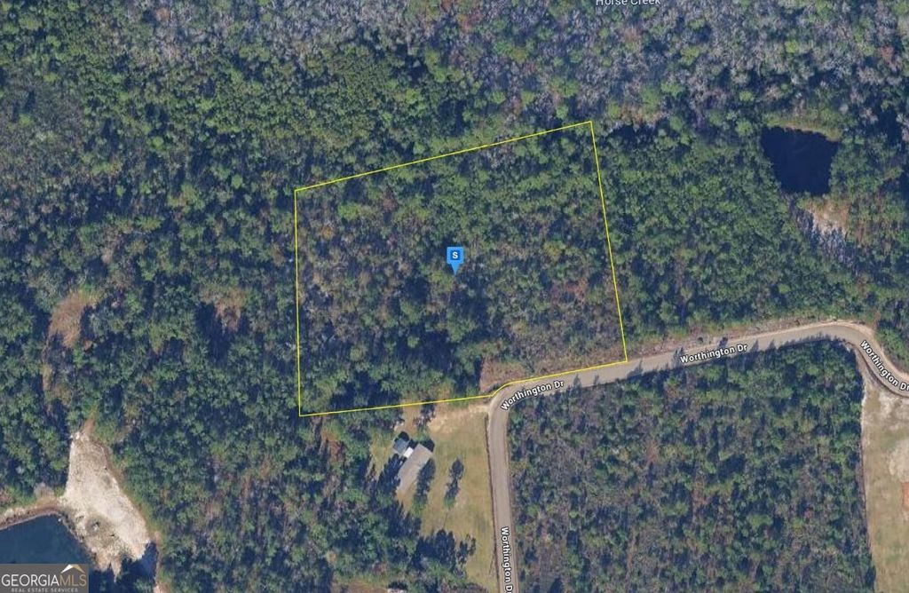 Photo of 305 Worthington Dr,, Ludowici, GA 31316 (MLS # 10689243)