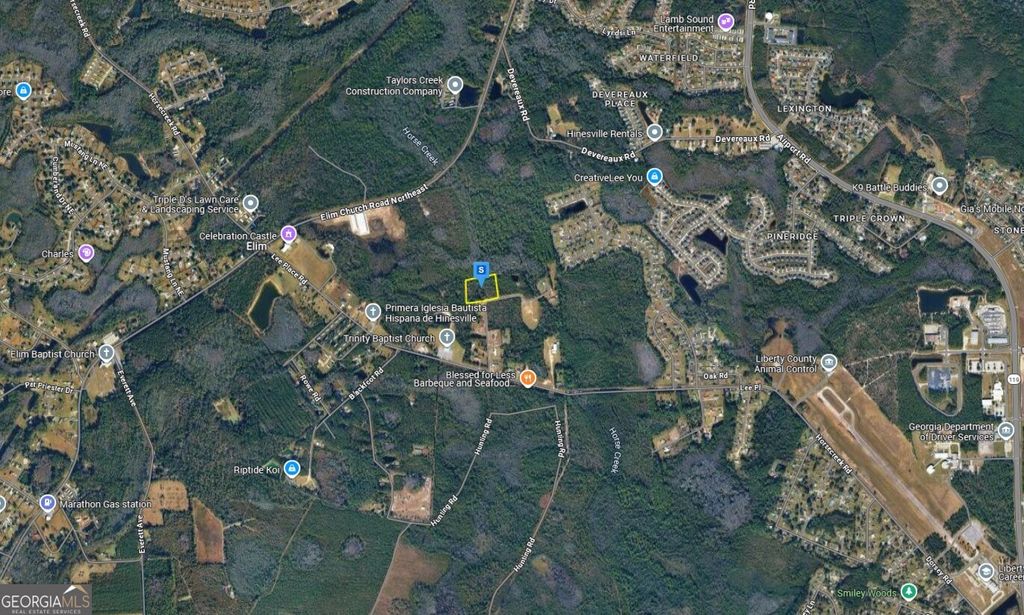 Photo of 305 Worthington Dr,, Ludowici, GA 31316 (MLS # 10689243)