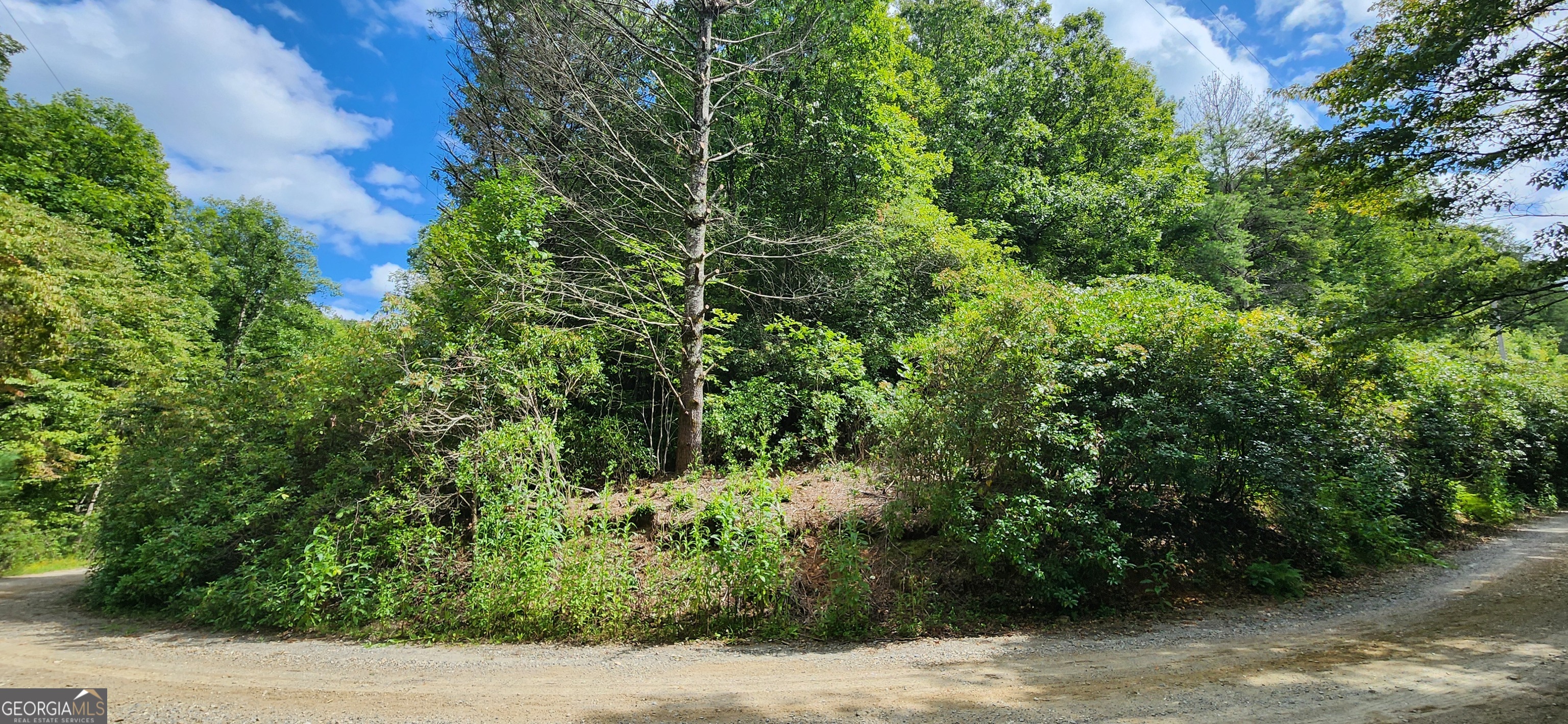 Lot 17 and 18 in Old Mill Pond Valley Estates are the lots you have been looking for at a great price. Total of 1.41 acres with both lots combined. These 2 lots are uphill lots and would make a great and impressive presence for your new cabin. Old Mill Pond Valley Estates is a tight-knit group of homeowners that look out for their neighbors and the preservation of this amazing creekfront development.