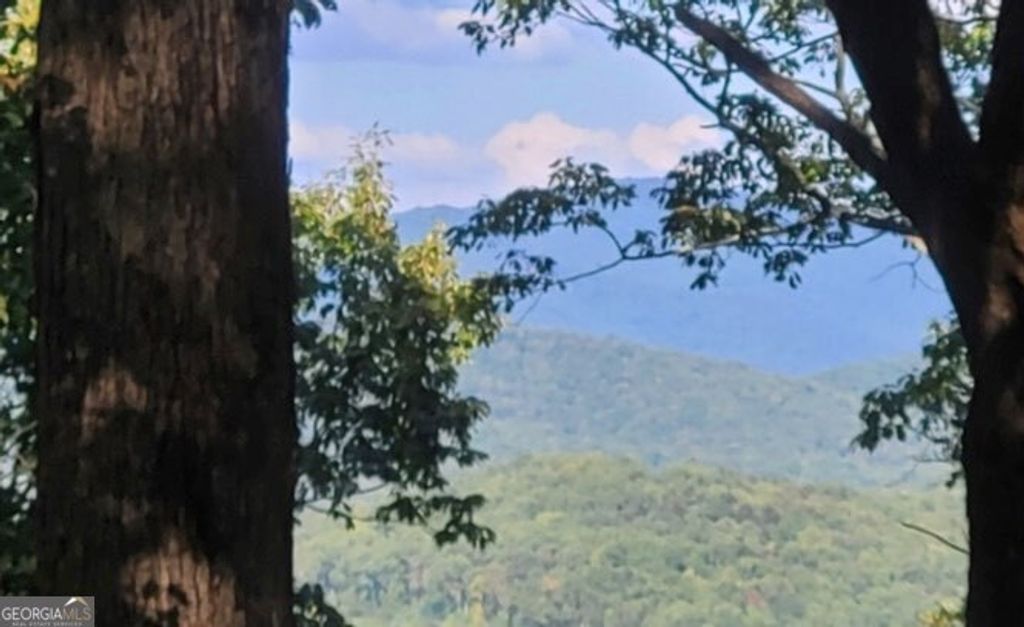 Photo of 4391 Old Burnt Mountain Road #PART OF C, Ellijay, GA 30540 (MLS # 10706536)