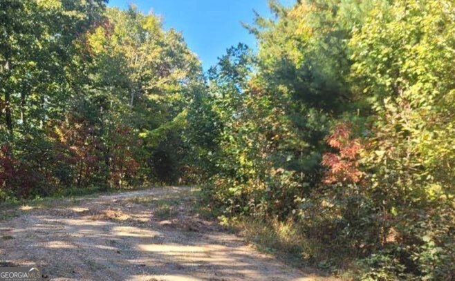 43.91 Old Burnt Mountain RD PART OF C