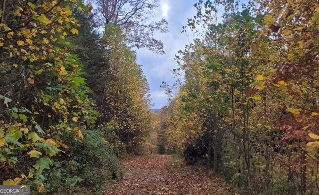 43.91 Old Burnt Mountain RD PART OF C