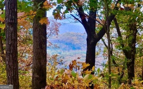 Photo of 4391 Old Burnt Mountain Road #PART OF C, Ellijay, GA 30540 (MLS # 10706536)