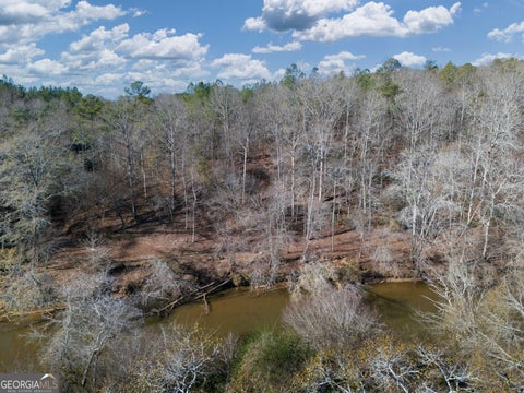 Photo of 0 County Road 432 LOT 4 #L4, Woodland, AL 36280 (MLS # 10777939)