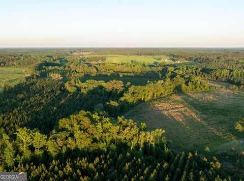 Photo of 4 Beulah Road #TRACT 4, Sylvania, GA 30467 (MLS # 10782622)