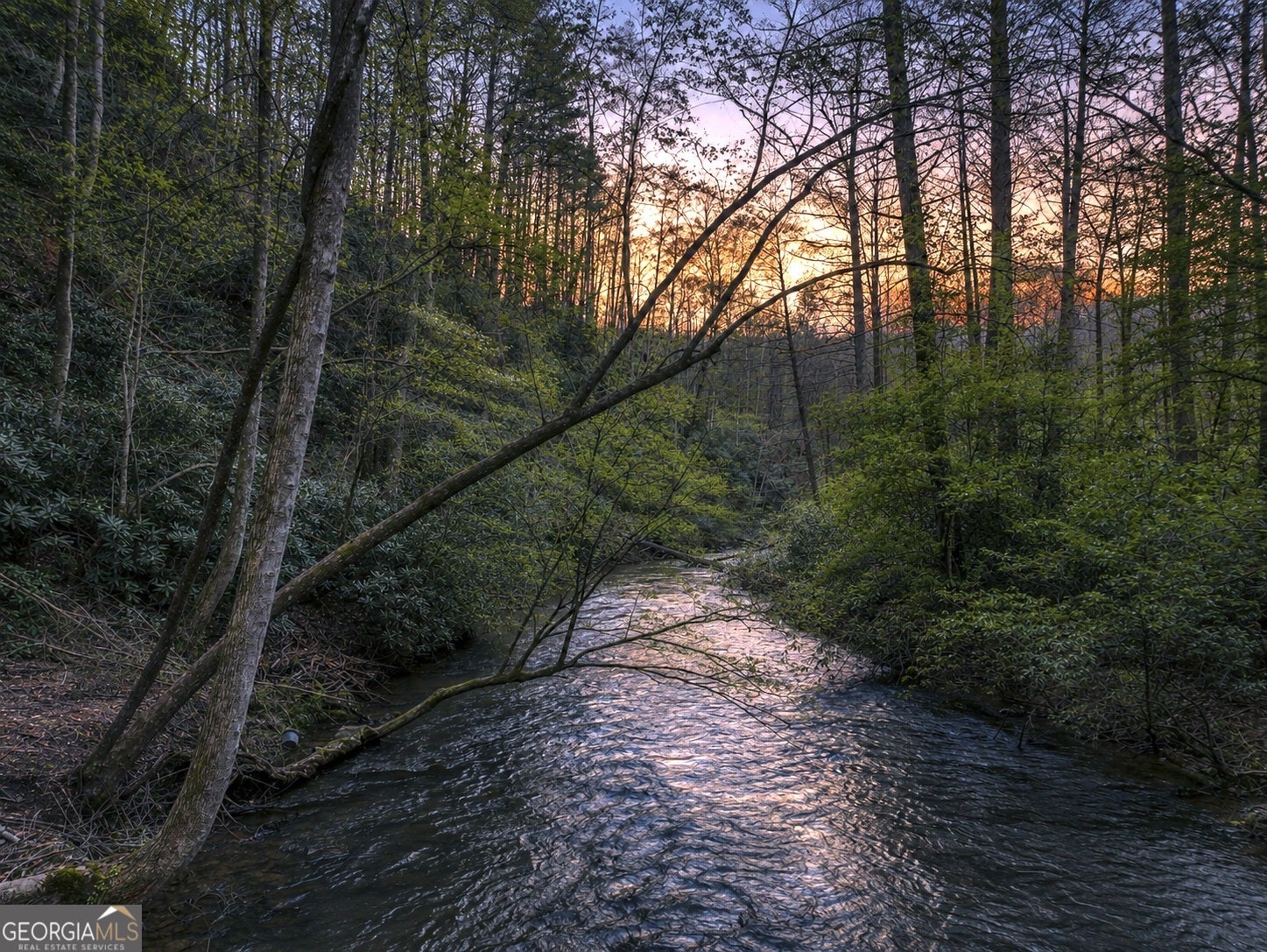 58 River RD
