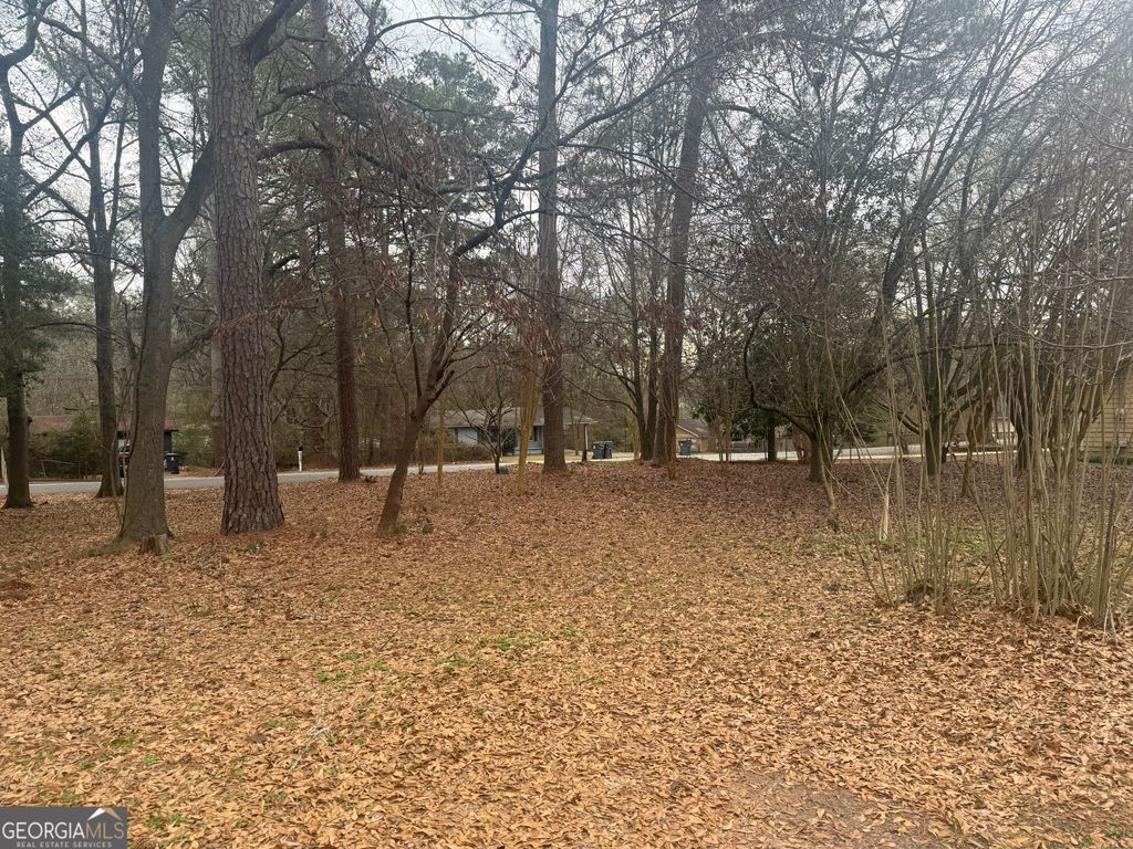 Photo of 00 SPRING Street, STOCKBRIDGE, GA 30281 (MLS # 10669884)