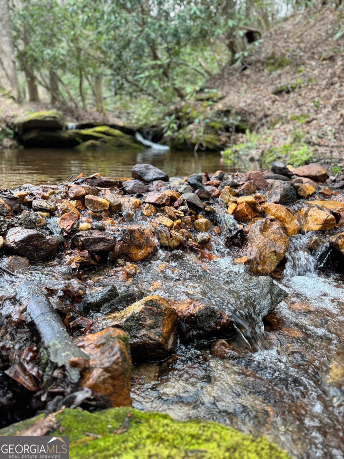 2889 Old Parker Place Rd