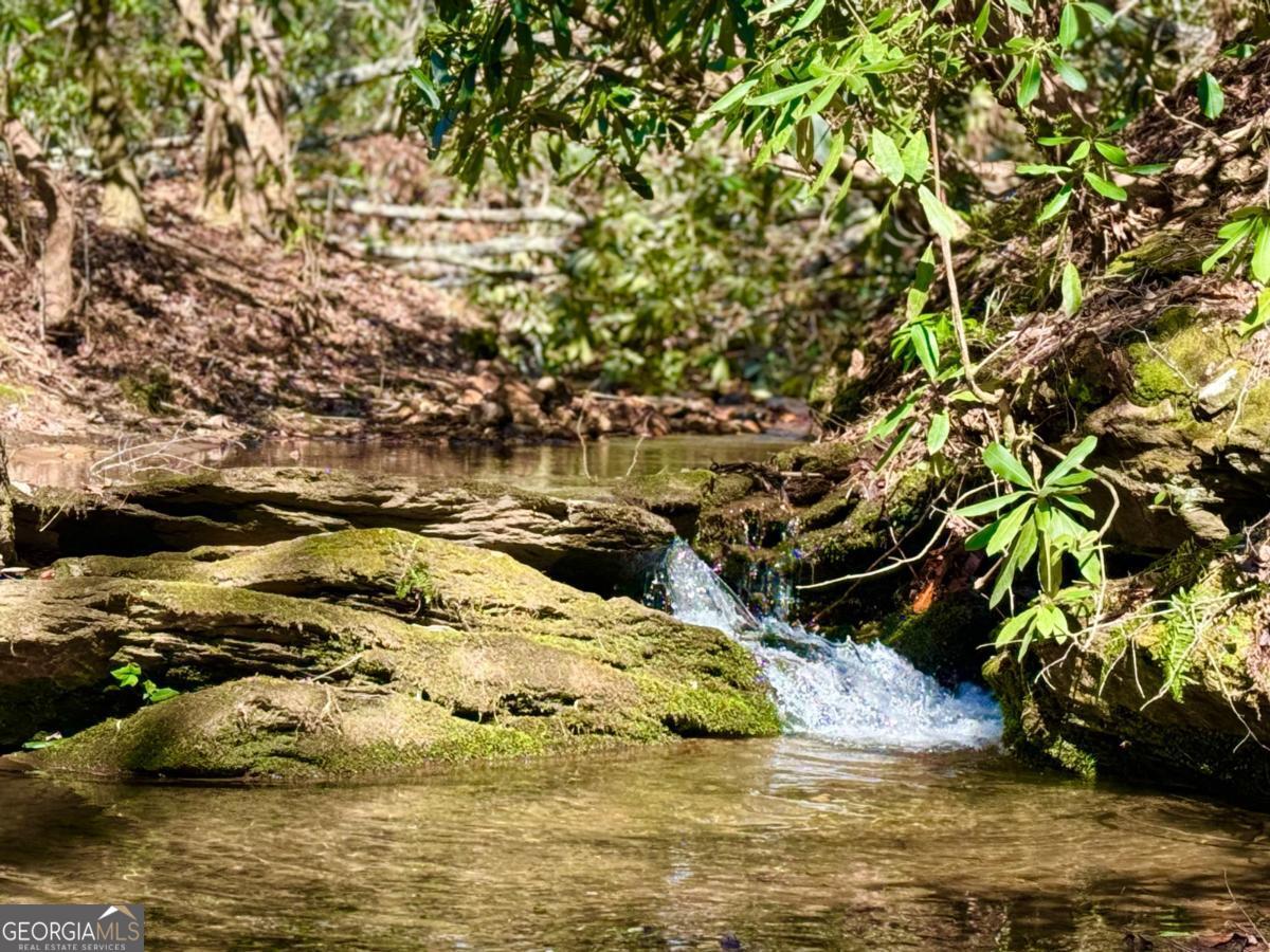 2889 Old Parker Place Rd