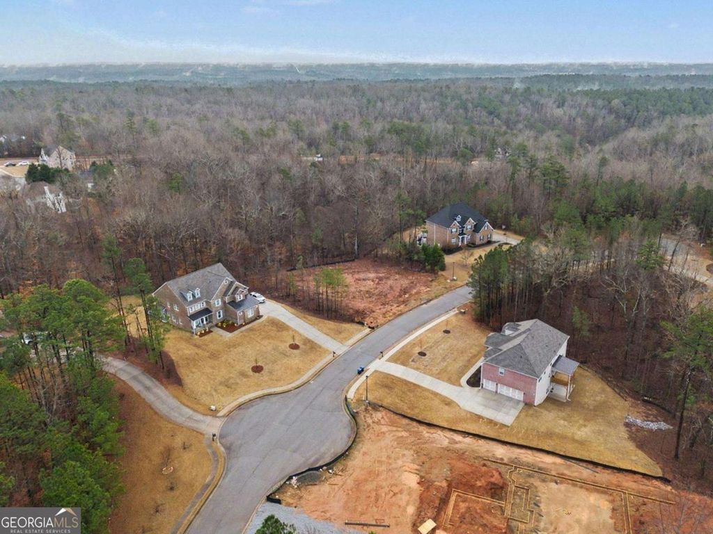 Photo of 7464 Waterview Cv, Douglasville, GA 30135 (MLS # 10702405)