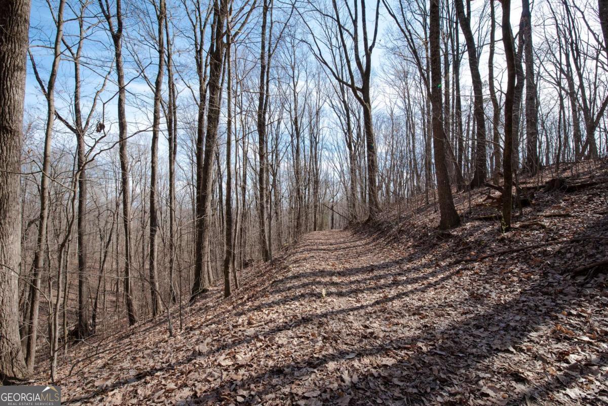 86.99 Acres Mincie Mountain