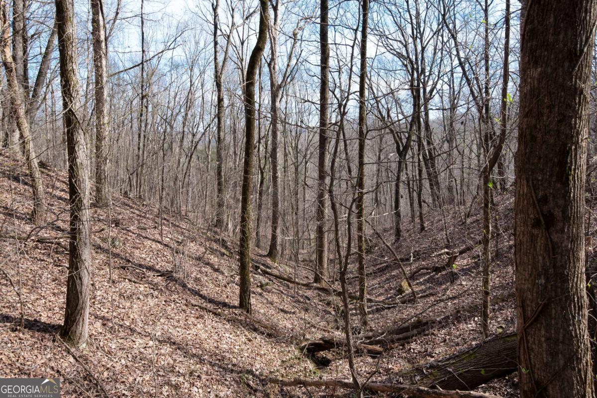 86.99 Acres Mincie Mountain