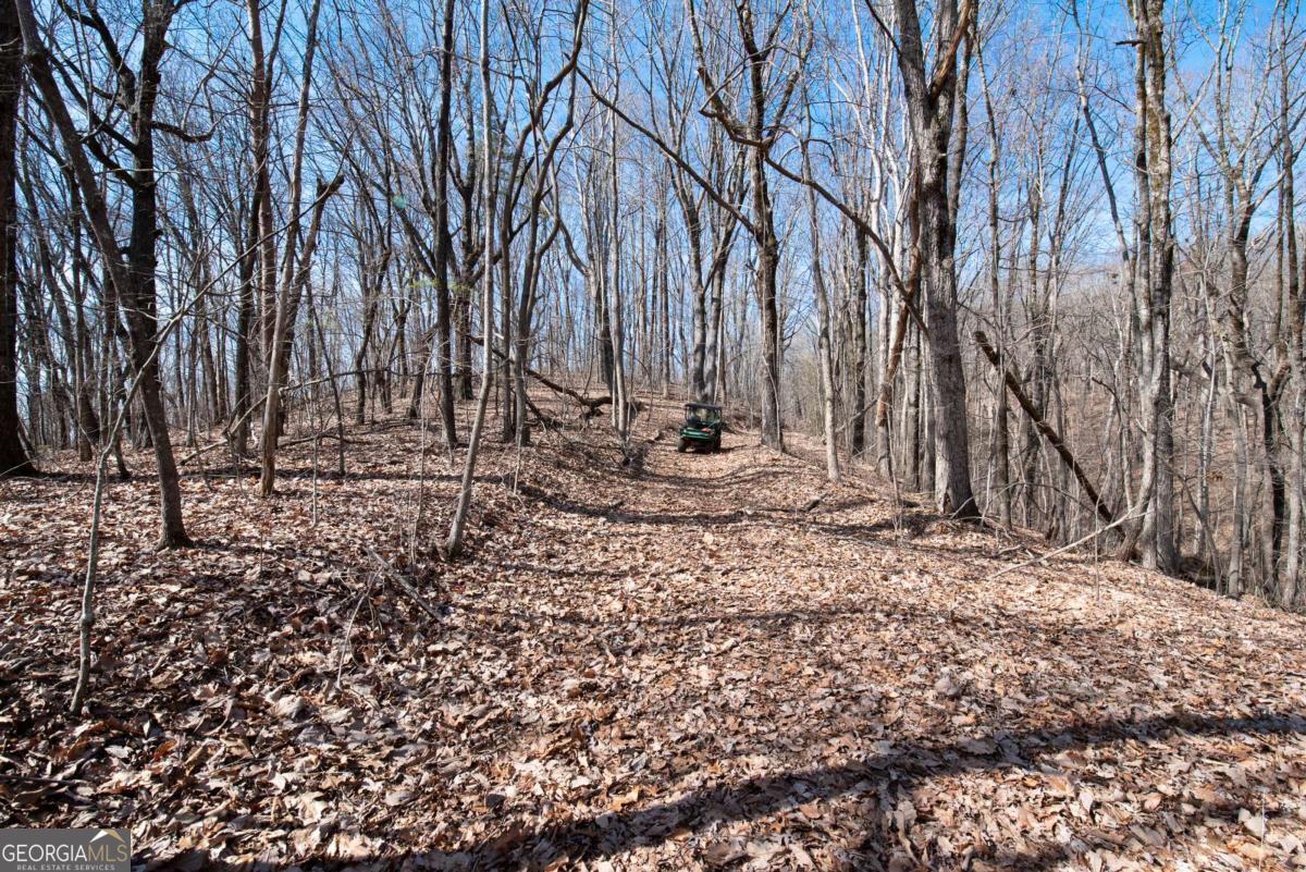 86.99 Acres Mincie Mountain