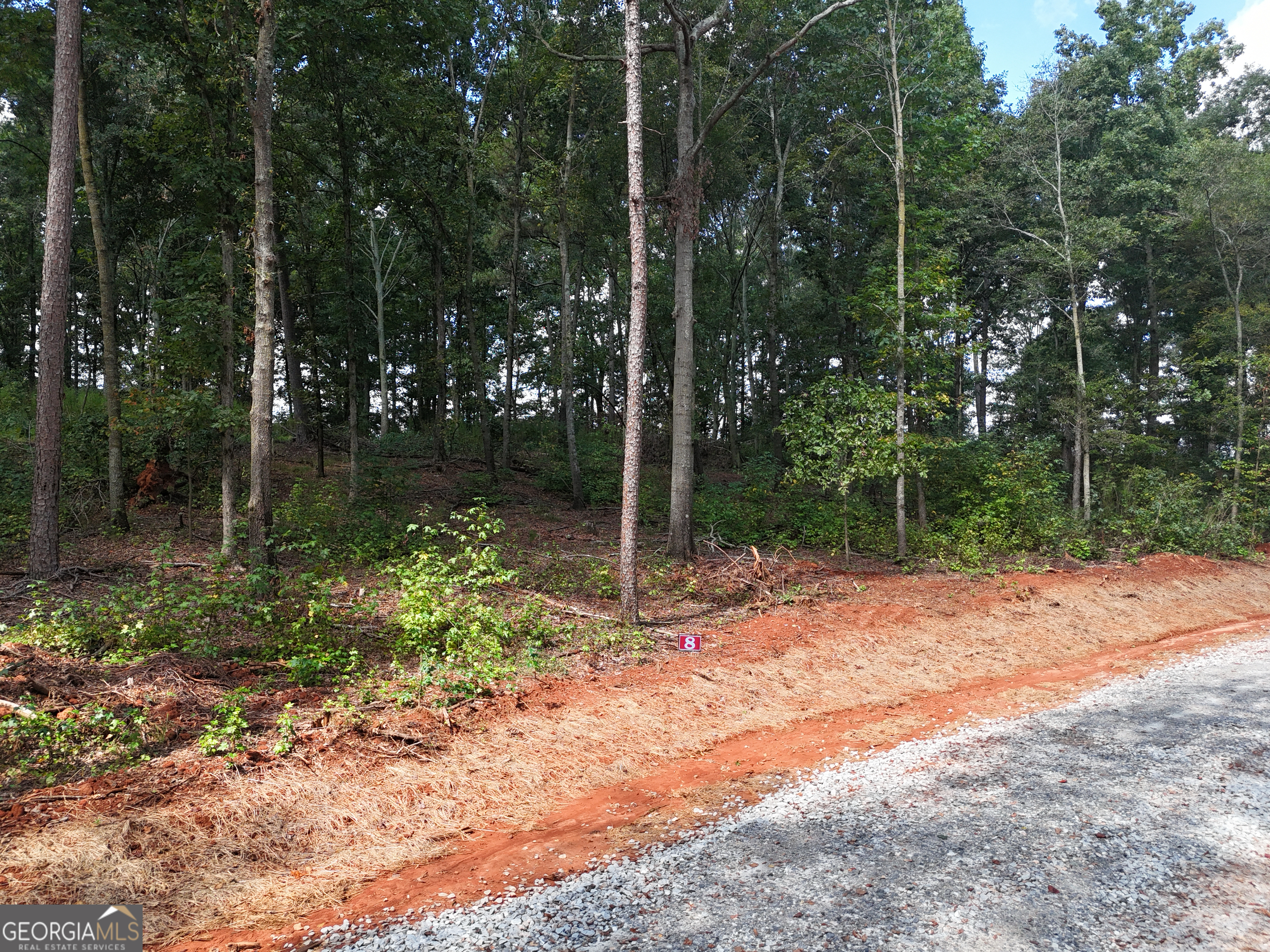 0 Sanford Lake DR TRACT 8