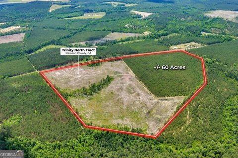 Photo of 0 Trinity North, Adrian, GA 31002 (MLS # 10770430)