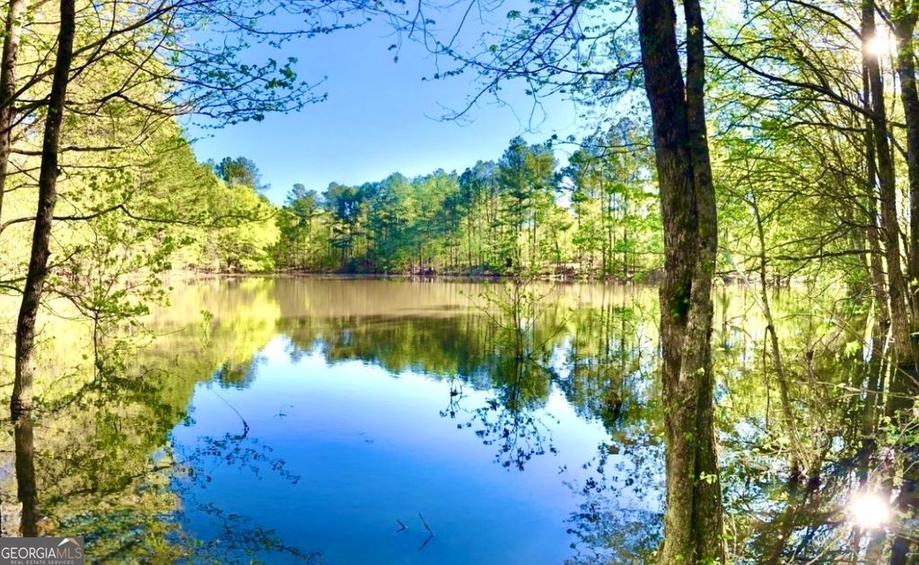 Photo of 0 Speed Lane, Madison, GA 30650 (MLS # 10766635)