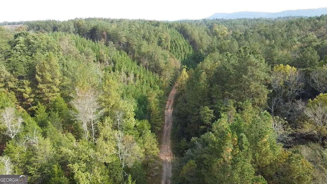 0 Possum Hollow RD