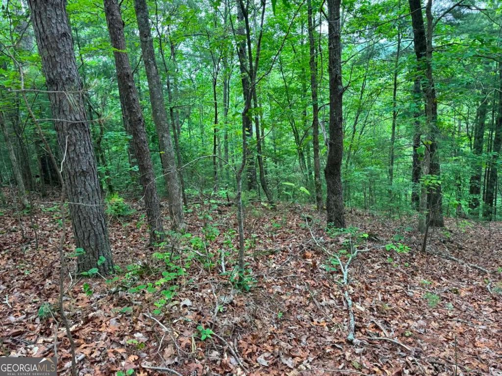 Photo of 1674 Hunter Drive, Ranger, GA 30734 (MLS # 10767215)