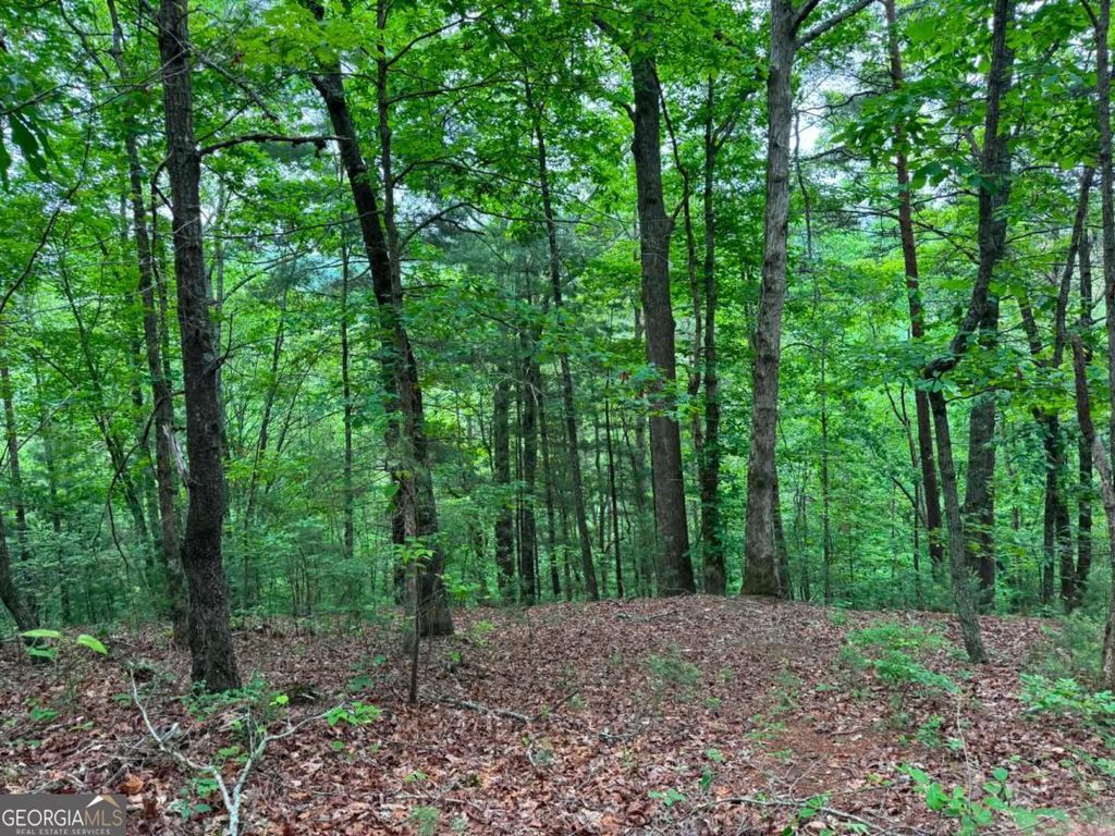 Photo of 1674 Hunter Drive, Ranger, GA 30734 (MLS # 10767215)